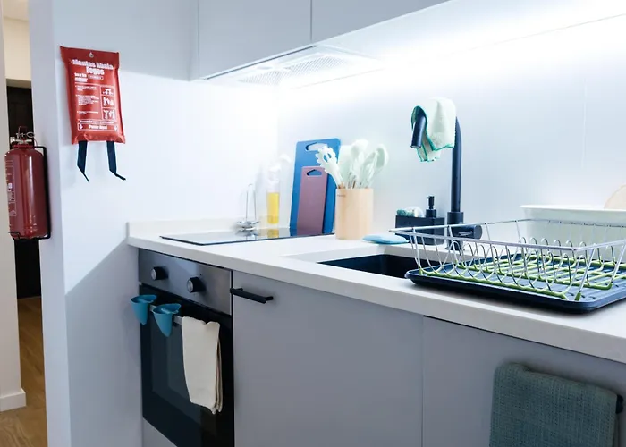 12 * 카르카벨로스